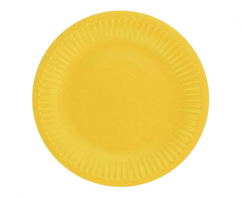 vienkartinės lėkštės šventei gimtadieniui