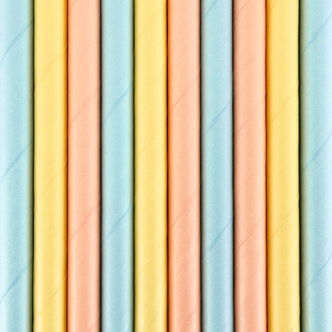 Popieriniai šiaudeliai "Summer Time"