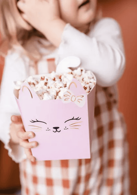 popkornų spragėsių dėžutės skanėstams rožinės katinėlių tema katinai kačiukai šventinė atributika šventės gimtadieniai dekoracijos mažeikiuose lietuvoje
