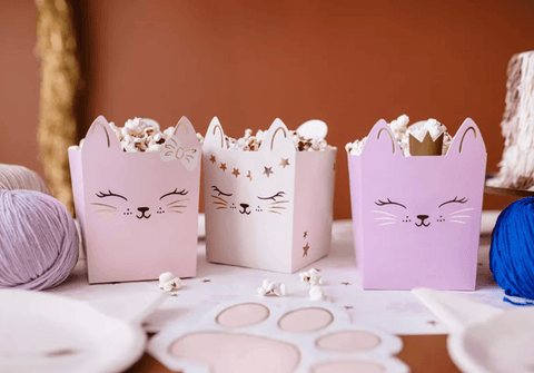 popkornų spragėsių dėžutės skanėstams rožinės katinėlių tema katinai kačiukai šventinė atributika šventės gimtadieniai dekoracijos mažeikiuose lietuvoje