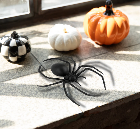 Dekorācija "Zirneklis"