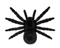 dekoracija voras helovynui tarantulas