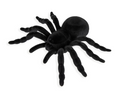 dekoracija voras helovynui tarantulas