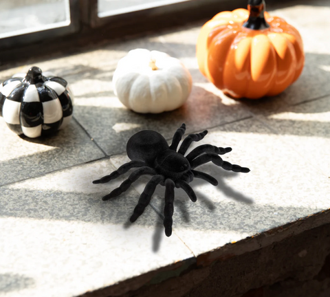 dekoracija voras helovynui tarantulas