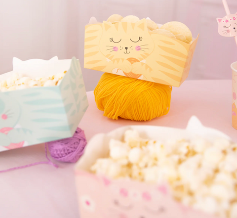 katinukų dekoracijos katės katinų tema užkandžių desertų dėžutės