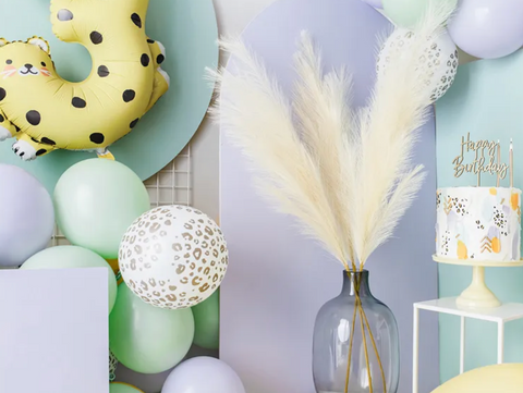 zebro leopardo rasto balionai