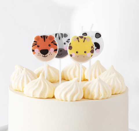 zvakutes safari gyvunai safario tikras zebras panda zirafa