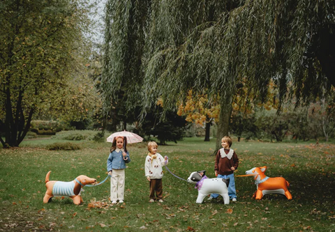 šuniukai balionai gimtadienis šunyčiu tema  dekoracijos  korgis