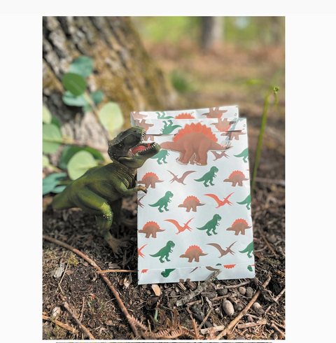 popieriniai maisiukai dovanoms skanestams dinozauru tema gimtadienis